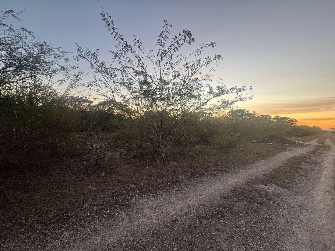 Land in Conkal, Yucatan, Mexico 5 - 18908431