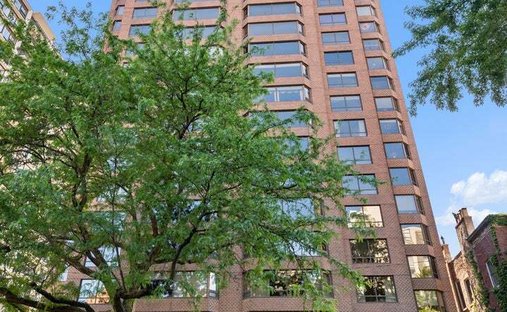 Condo in Chicago, Illinois, United States 1