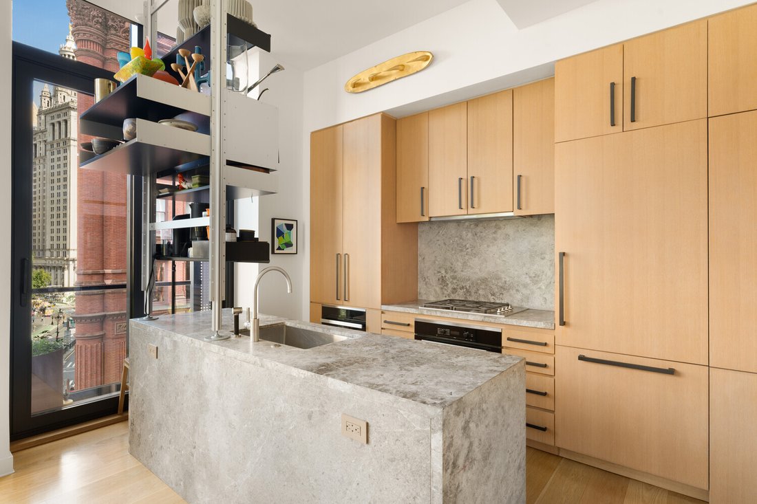 Apartment in New York, New York, United States 5 - 18908095