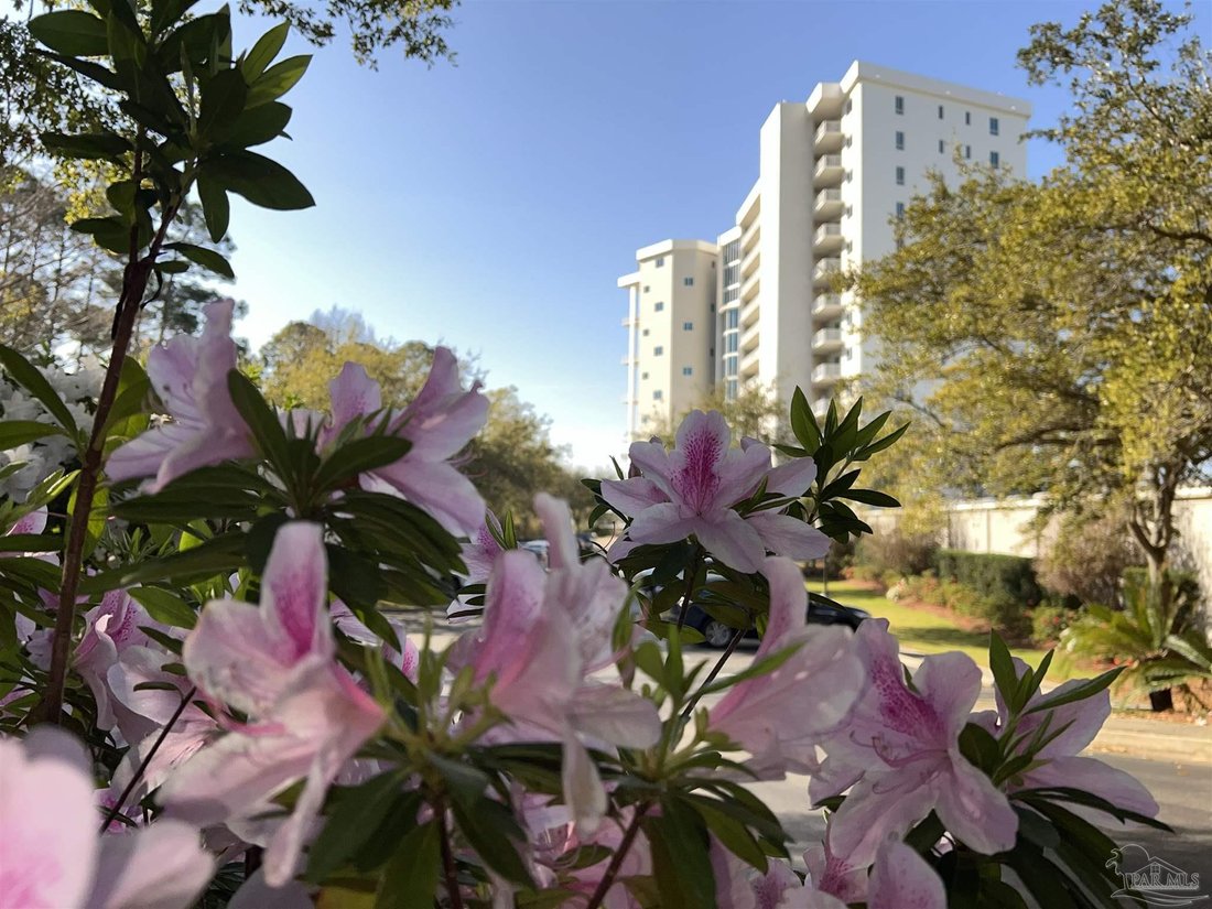 Appartement à Orange Beach, Alabama, États-Unis 2 - 18908533