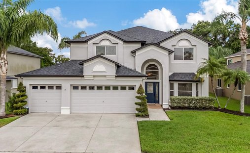 Casa en Odessa, Florida, Estados Unidos 1