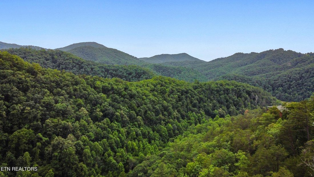 Pigeon Forge, Tennessee, United States 3 - 18909194