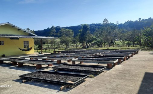 Land in Jaramillo, Chiriquí, Chiriquí Province, Panama 1