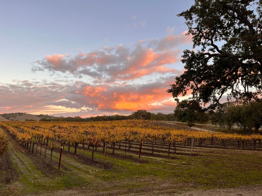 Bradley, California, United States 2 - 18921837