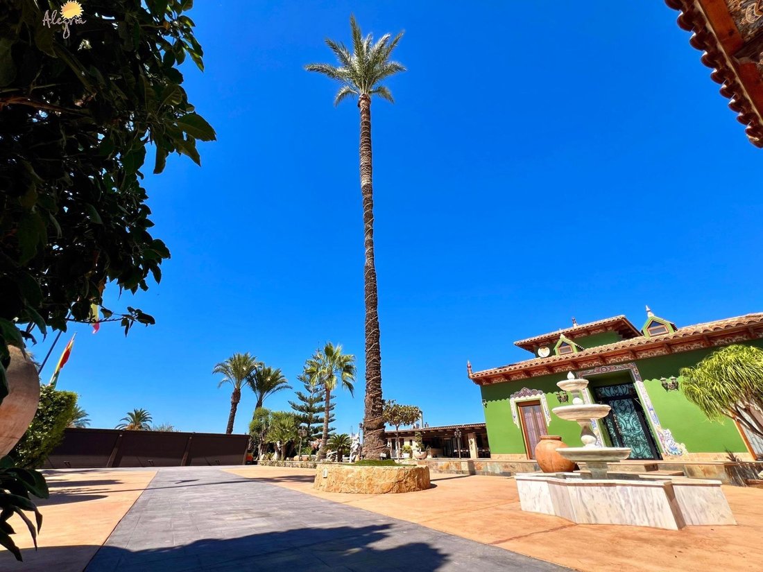 Maison à Almoradí, Valence, Espagne 4 - 18911434