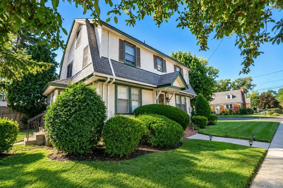 House in New Hyde Park, New York, United States 1 - 18876801