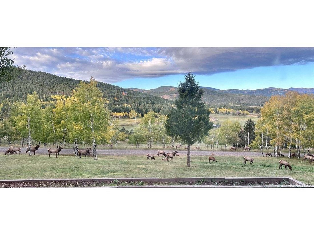 House in Evergreen, Colorado, United States 4 - 18398800