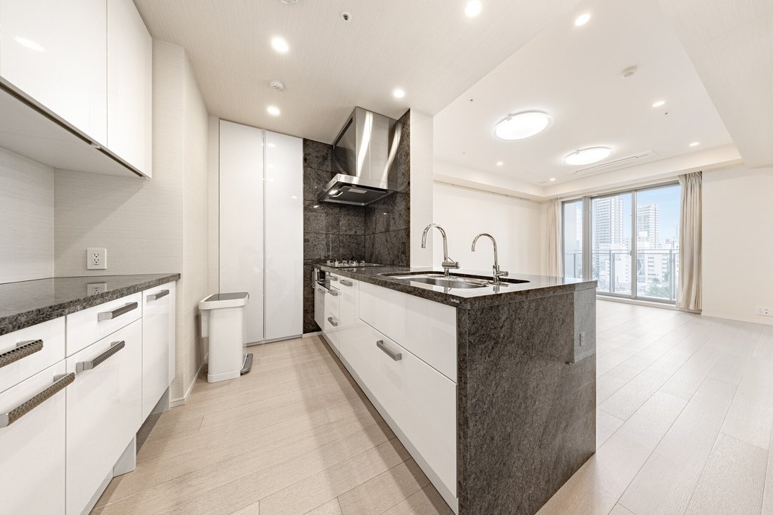 Condo in Minato City, Tokyo, Japan 3 - 18913592