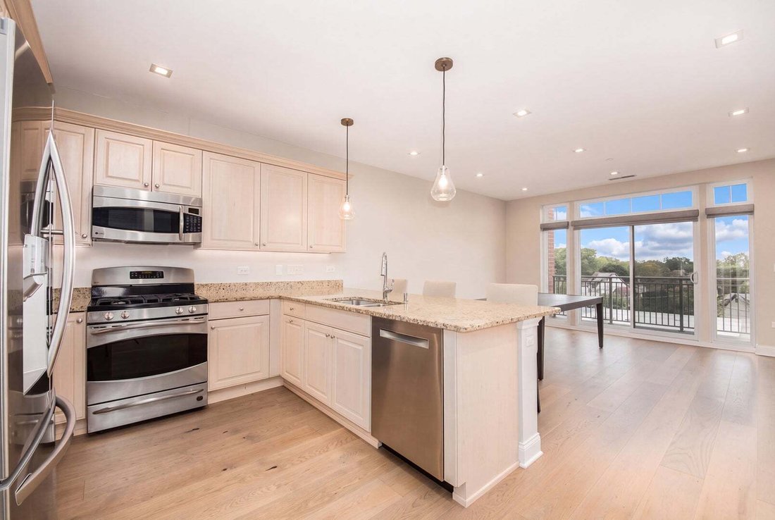 Condo in Park Ridge, Illinois, United States 3 - 18910243