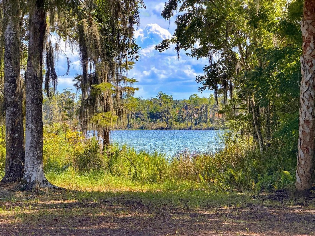 House in New Port Richey, Florida, United States 5 - 18905962