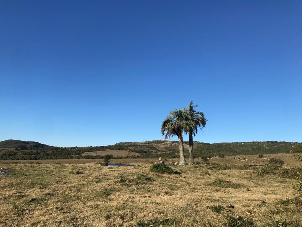Farm Ranch in San Carlos, Maldonado Department, Uruguay 4 - 18909910
