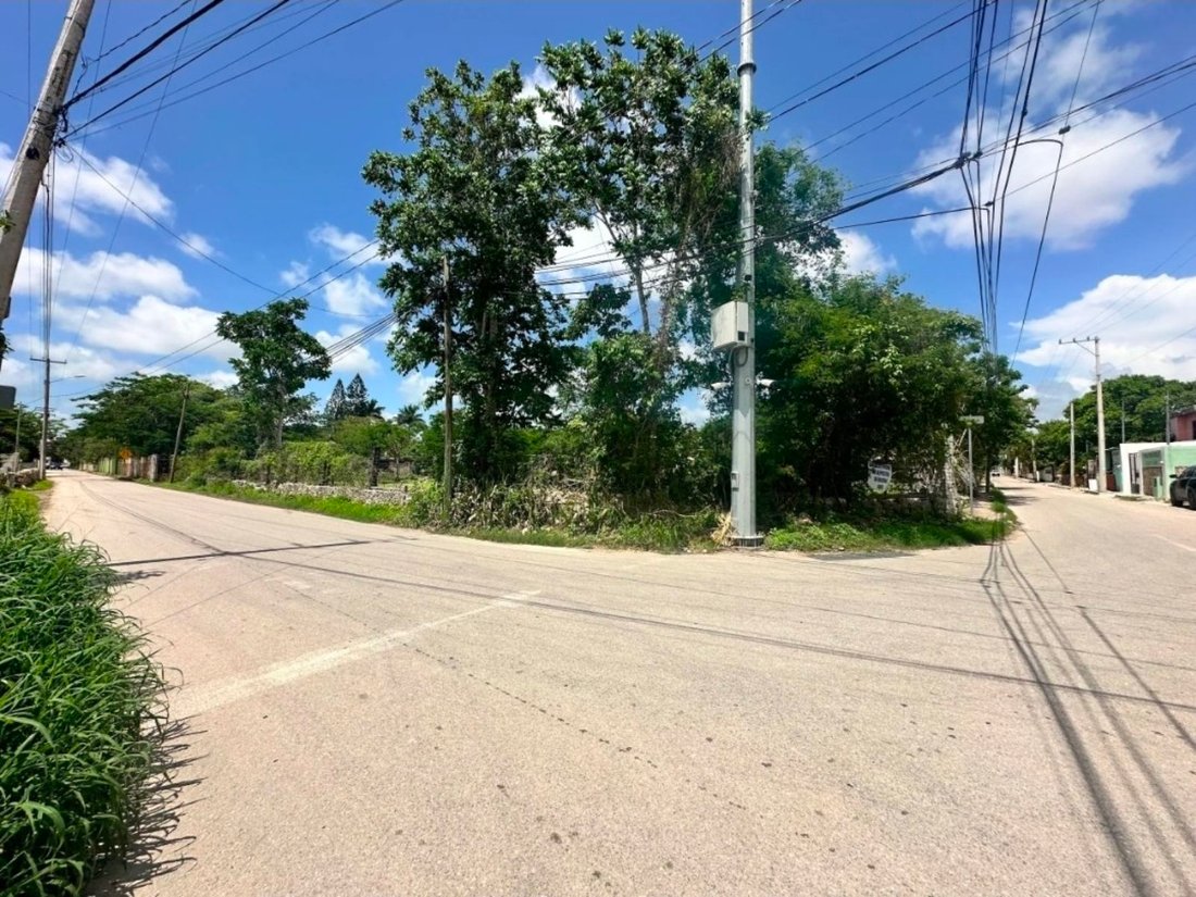 Land in Cholul, Yucatán, Mexiko 1 - 18908443