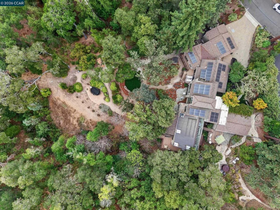 House in Lafayette, California, United States 5 - 18909450
