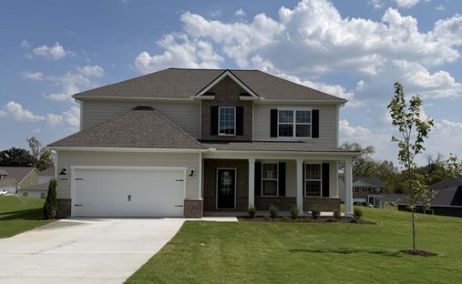 House in Smyrna, Tennessee, United States 1