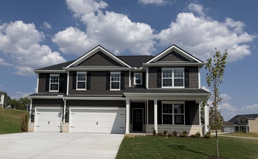 House in Smyrna, Tennessee, United States 1