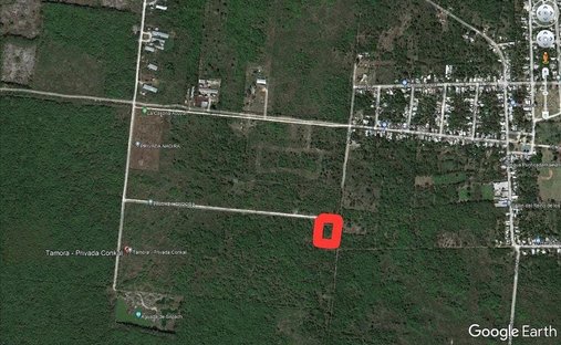 Land in Conkal, Yucatán, Mexiko 1