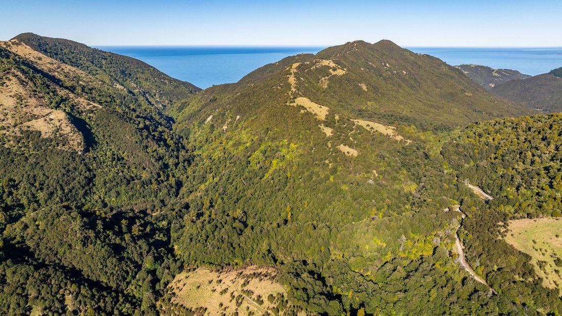 Land in Seaward Valley, Canterbury, New Zealand 5 - 18908317