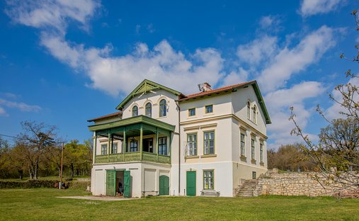 Estate in Balatonakali, Hungary 1