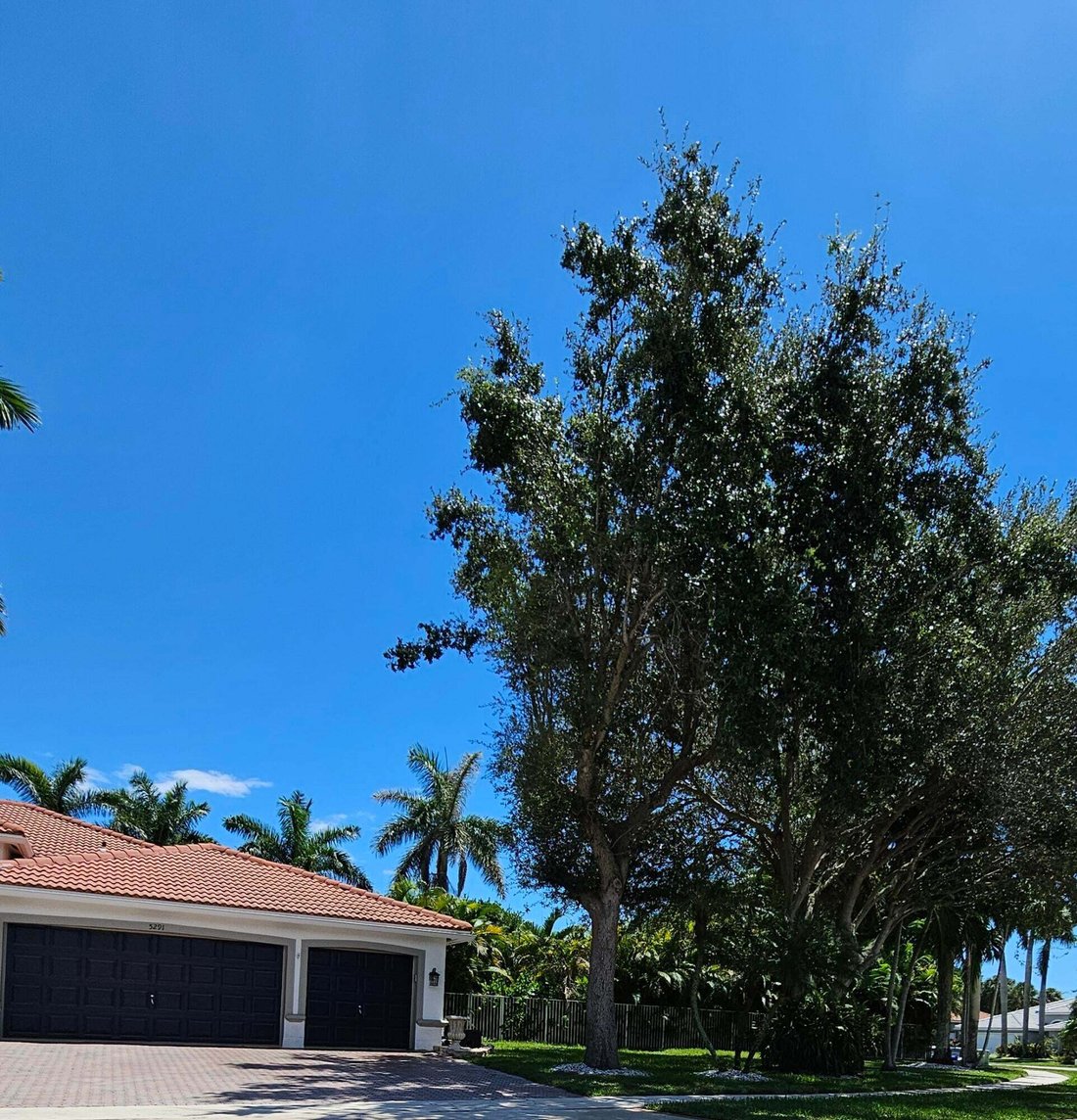 House in Lake Worth, Florida, United States 5 - 18922233