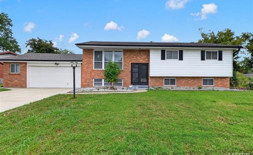 House in Sappington, Missouri, United States 1