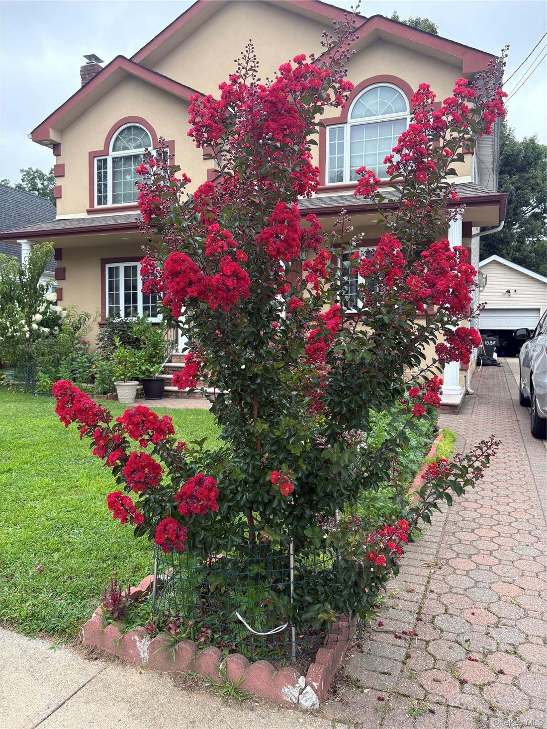 House in New Hyde Park, New York, United States 1 - 18922029
