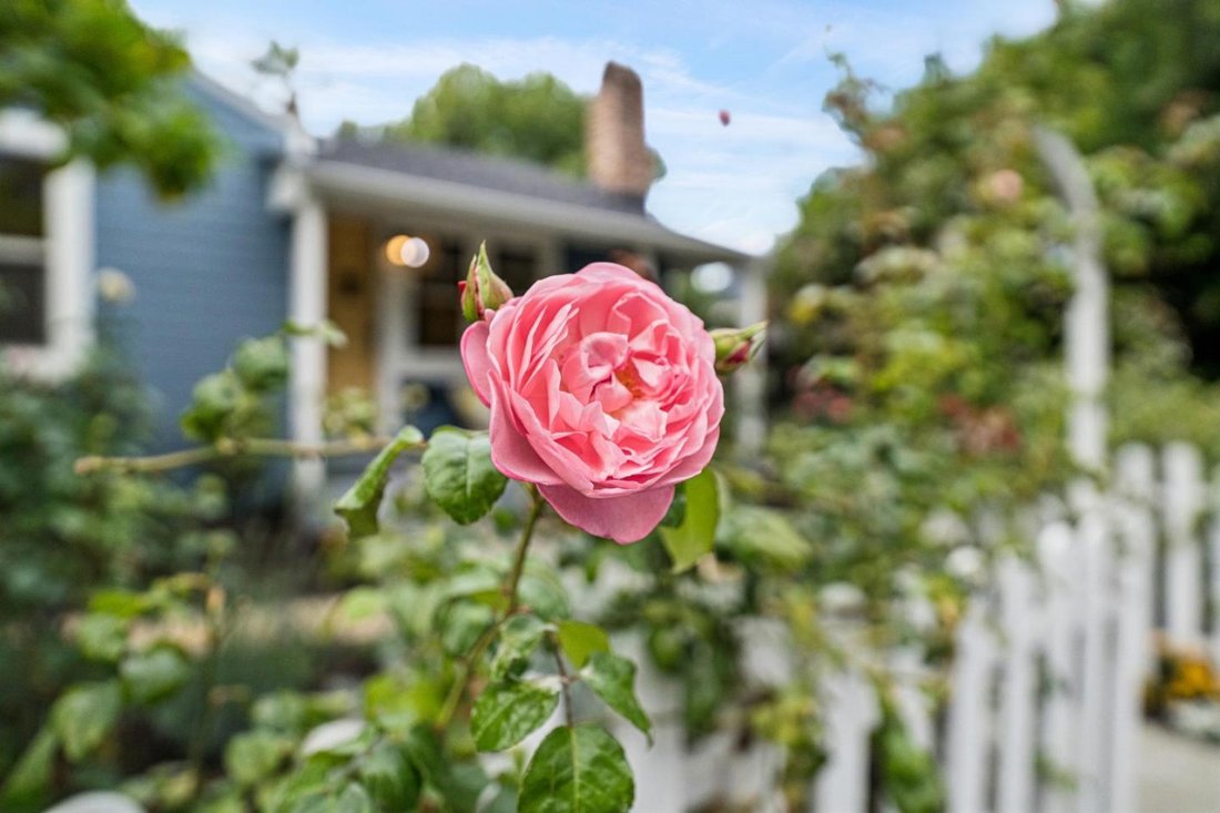 House in Redwood City, California, United States 5 - 18922092