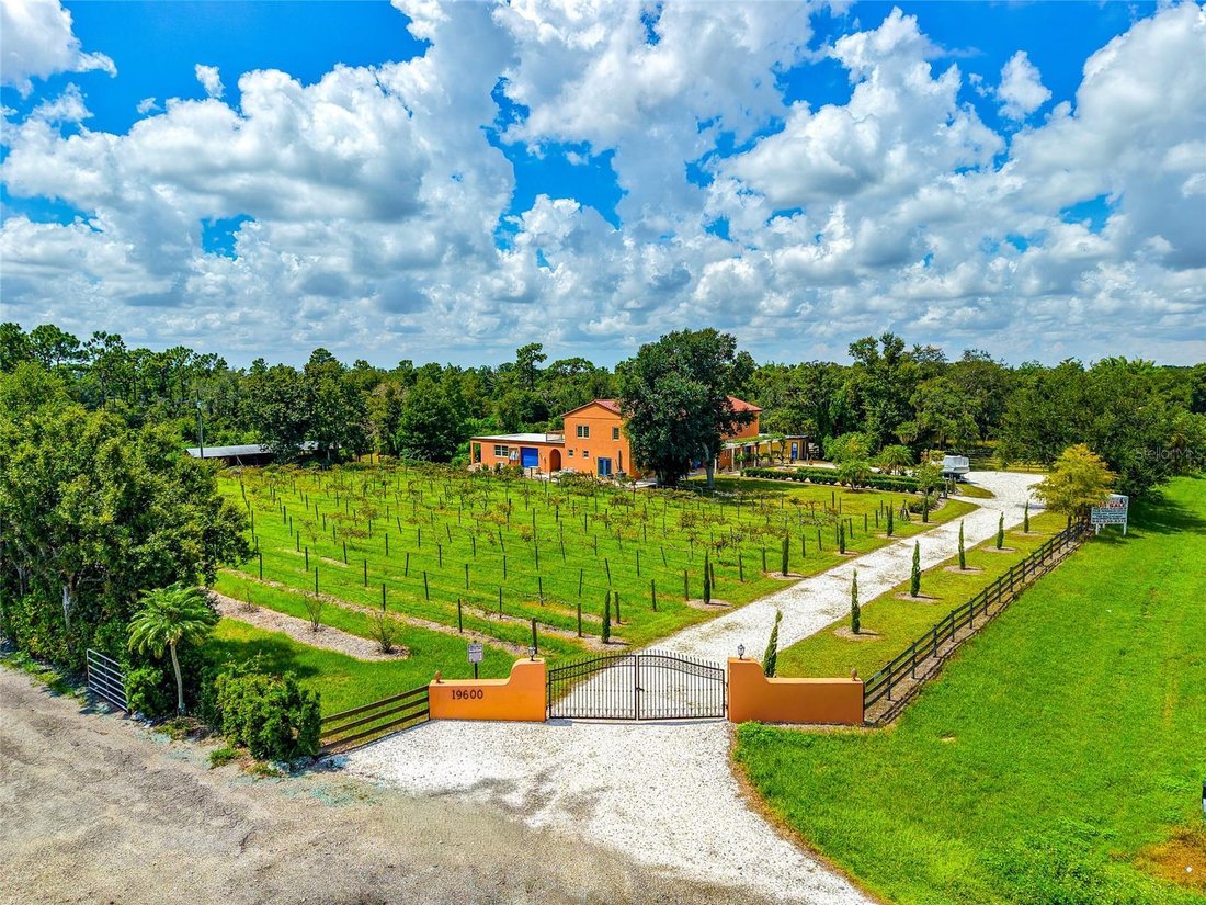 House in Bradenton, Florida, United States 5 - 18663033