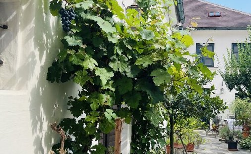 House in Krems an der Donau, Lower Austria, Austria 1