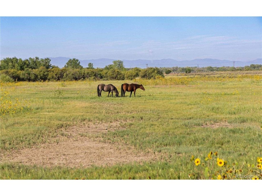 Otros en Avondale, Colorado, Estados Unidos 2 - 18922421