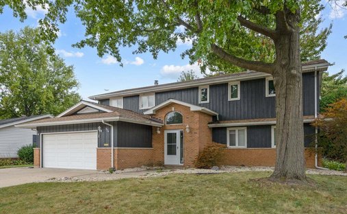 House in Elk Grove Village, Illinois, United States 1