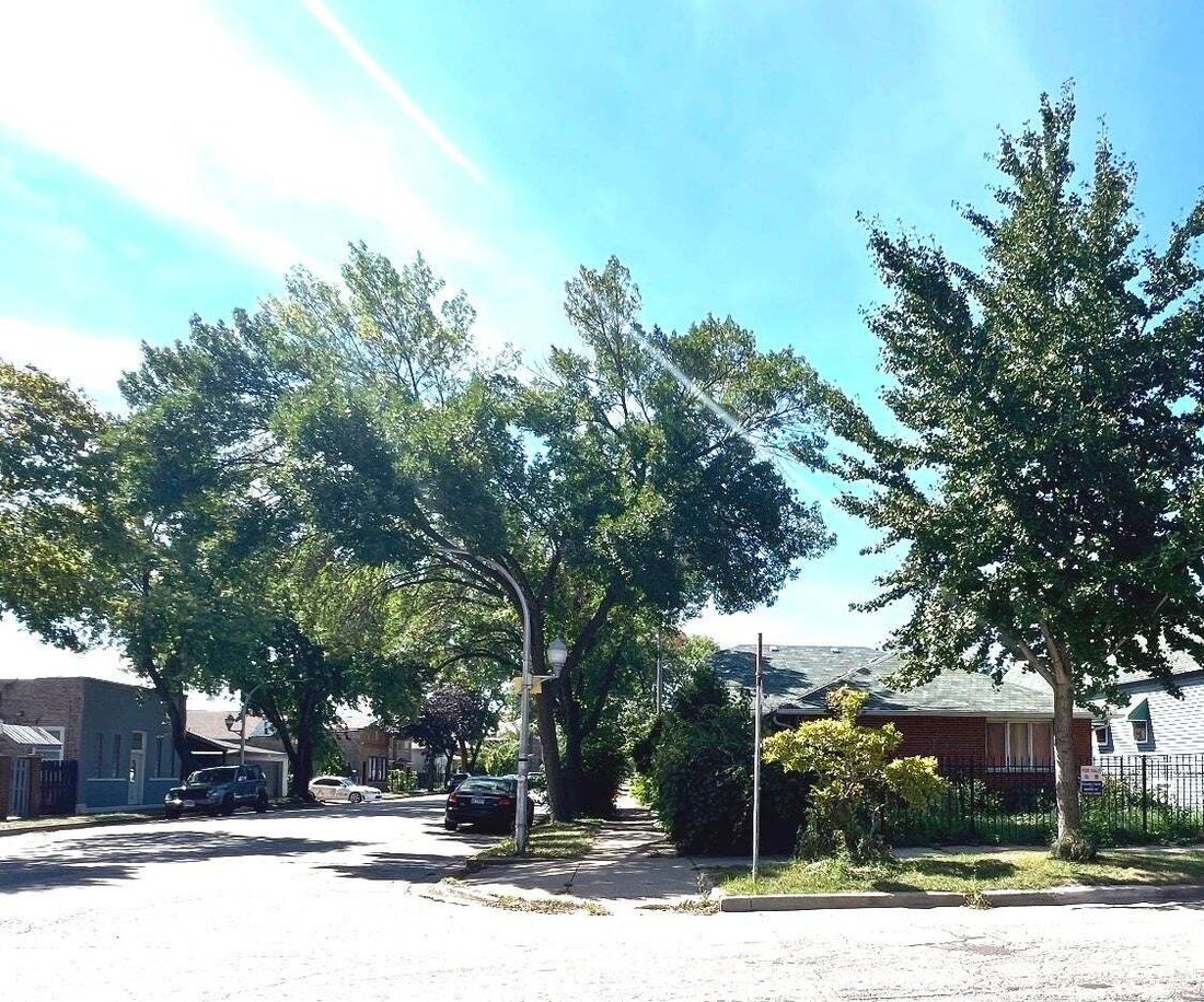 House in Chicago, Illinois, United States 5 - 18609765