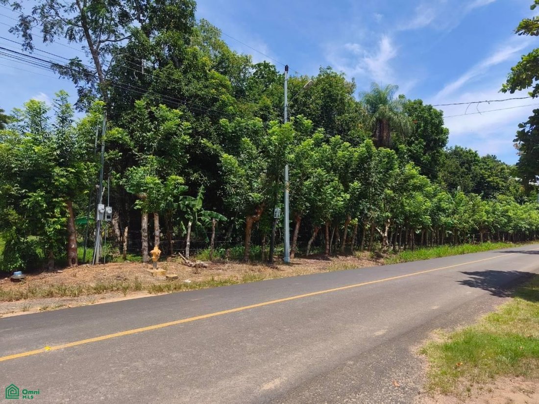 Land in Esparza, Puntarenas Province, Costa Rica 5 - 18915187
