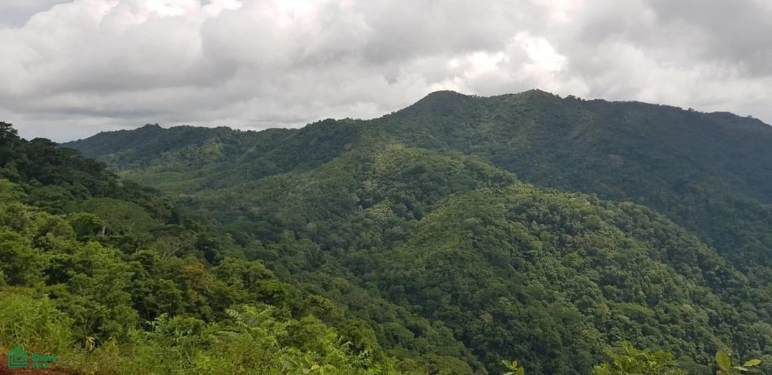 Land in Carara, San José, Costa Rica 3 - 17811397