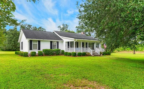Land in Andrews, South Carolina, United States 1