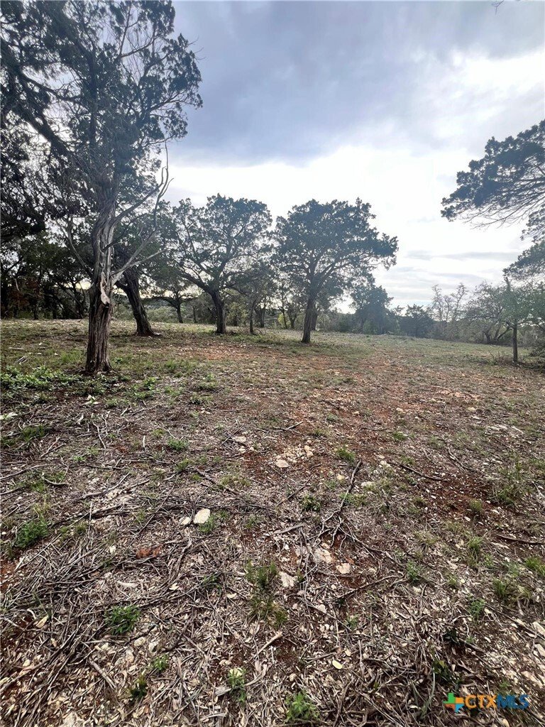 Maison à Jonestown, Texas, États-Unis 1 - 18922773