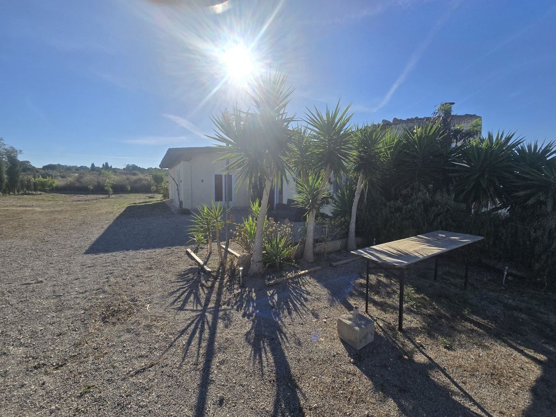 Farm Ranch in Montuïri, Balearische Inseln, Spanien 5 - 18923022