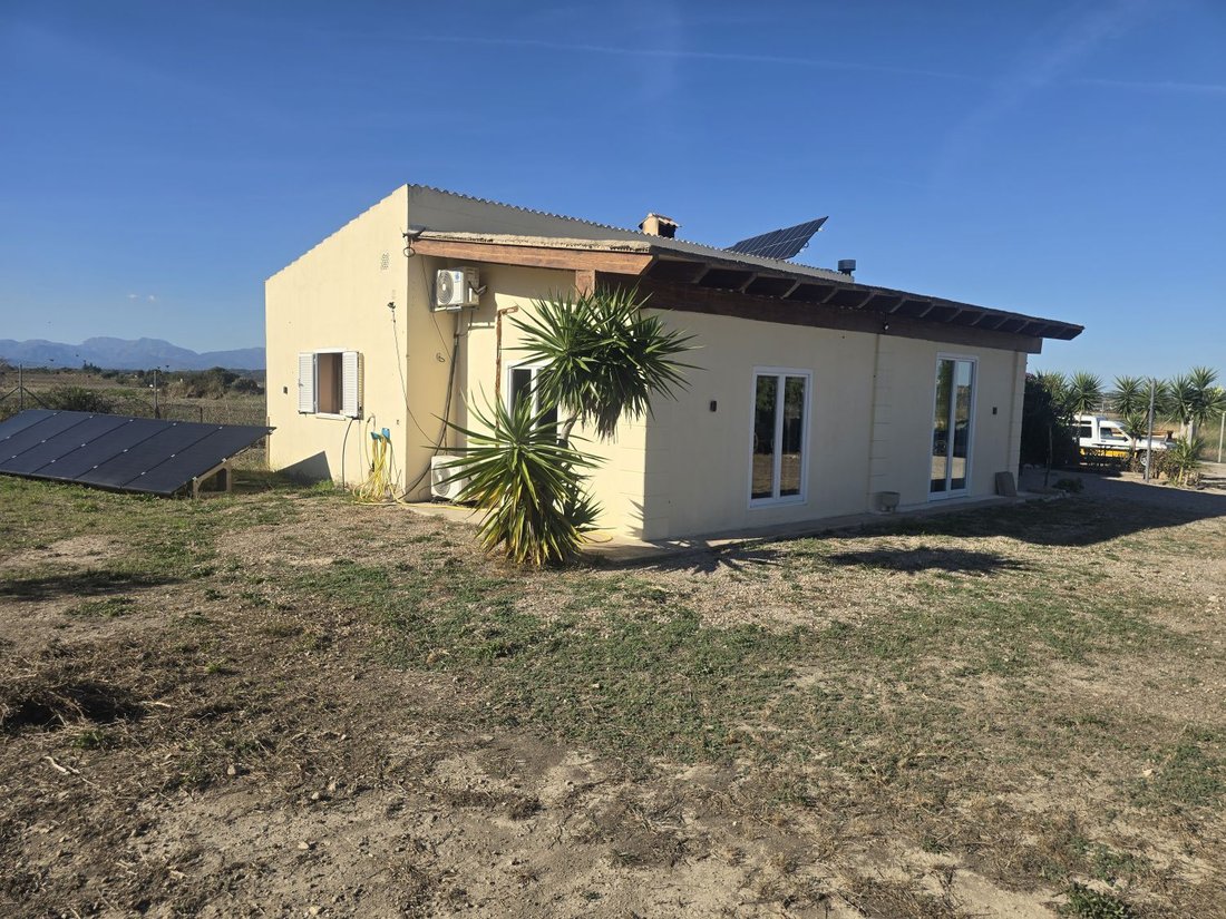 Farm Ranch in Montuïri, Balearische Inseln, Spanien 4 - 18923022