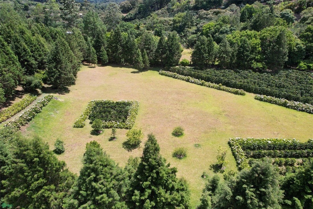 Land in San Isidro de Grecia, Provinz Alajuela, Costa Rica 1 - 17804849