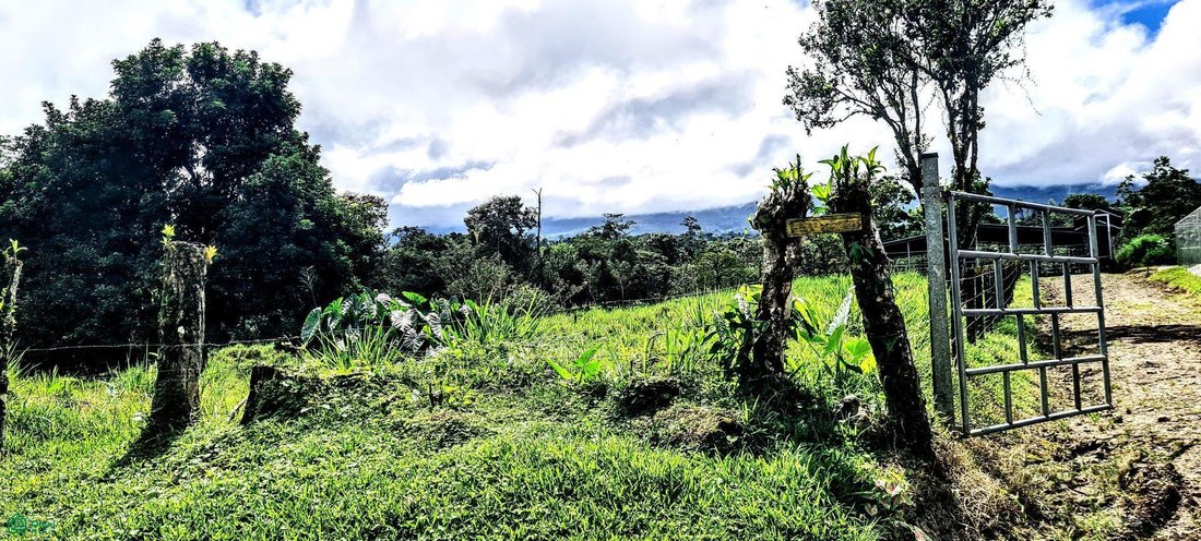 Land in Dos Ríos, Upala, Costa Rica 1 - 18527610