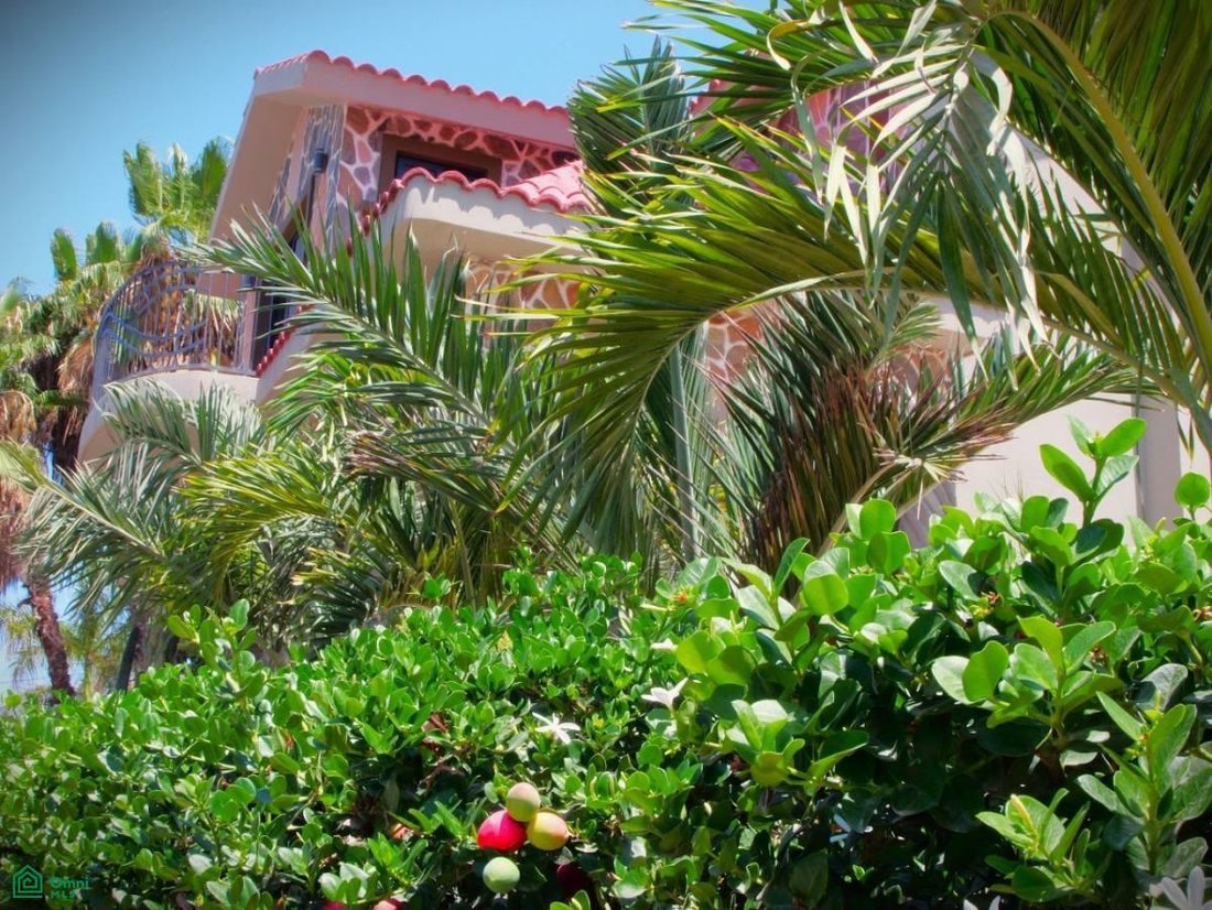 House in Todos Santos, Baja California Sur, Mexico 2 - 18620160