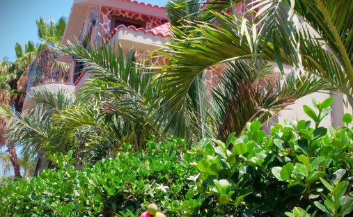 Casa en Todos Santos, Baja California Sur, México 1
