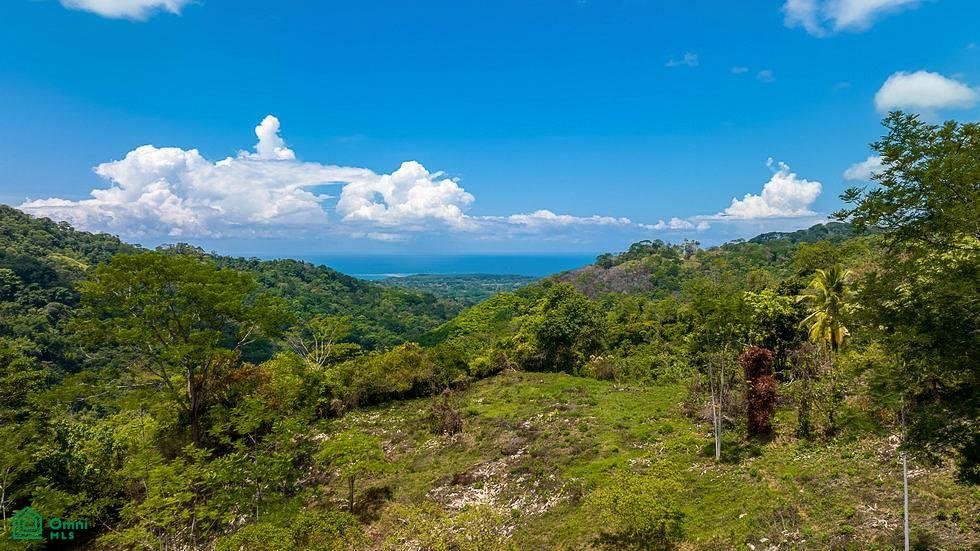 Land in Quebrada, Puntarenas Province, Costa Rica 2 - 18592230