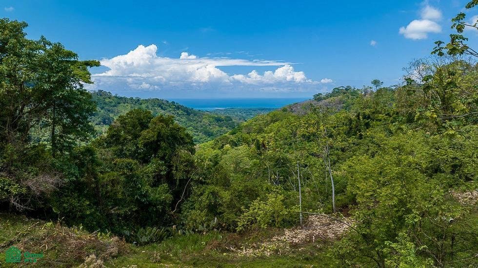 Land in Quebrada, Puntarenas Province, Costa Rica 5 - 18592230
