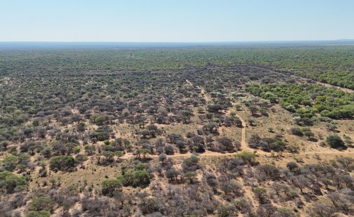 Farm Ranch in Bela-Bela, Limpopo, South Africa 1