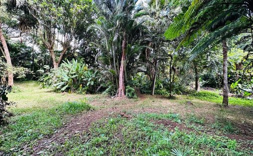 Land in Moka, Moka District, Mauritius 1