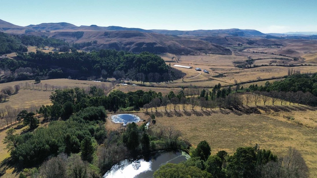 Farm Ranch in Nottingham Road, KwaZulu-Natal, Südafrika 5 - 18923408