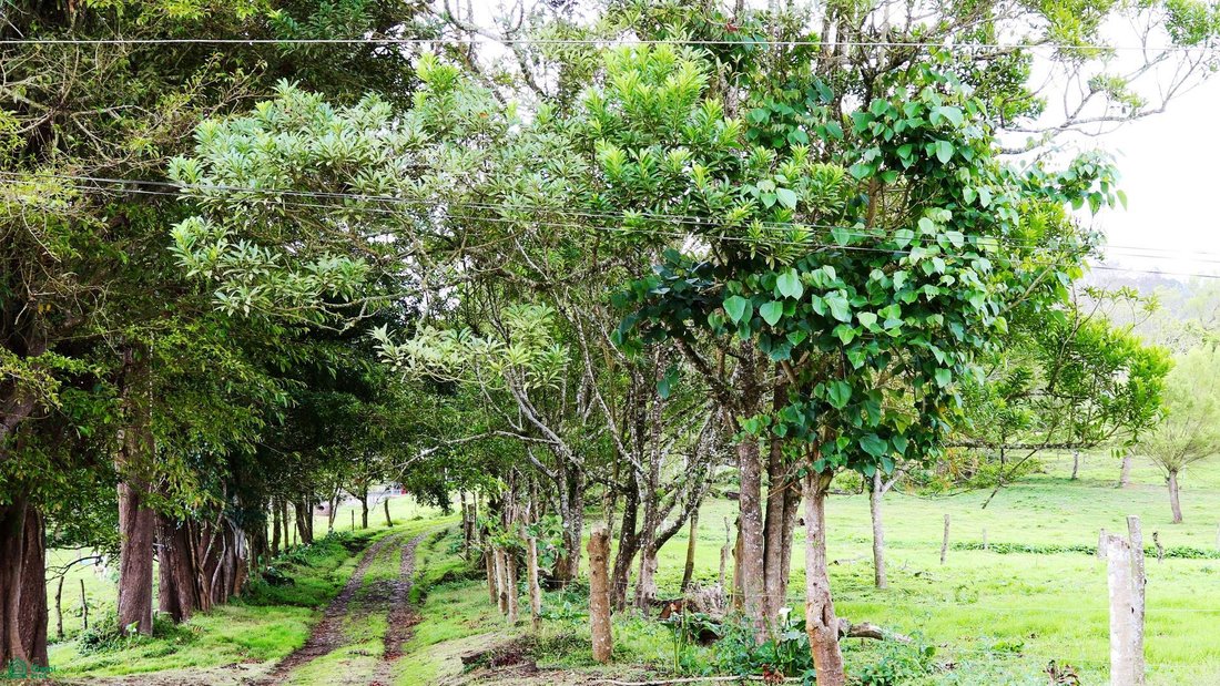 Terreno a San Isidro, San José, Costa Rica 2 - 17810759