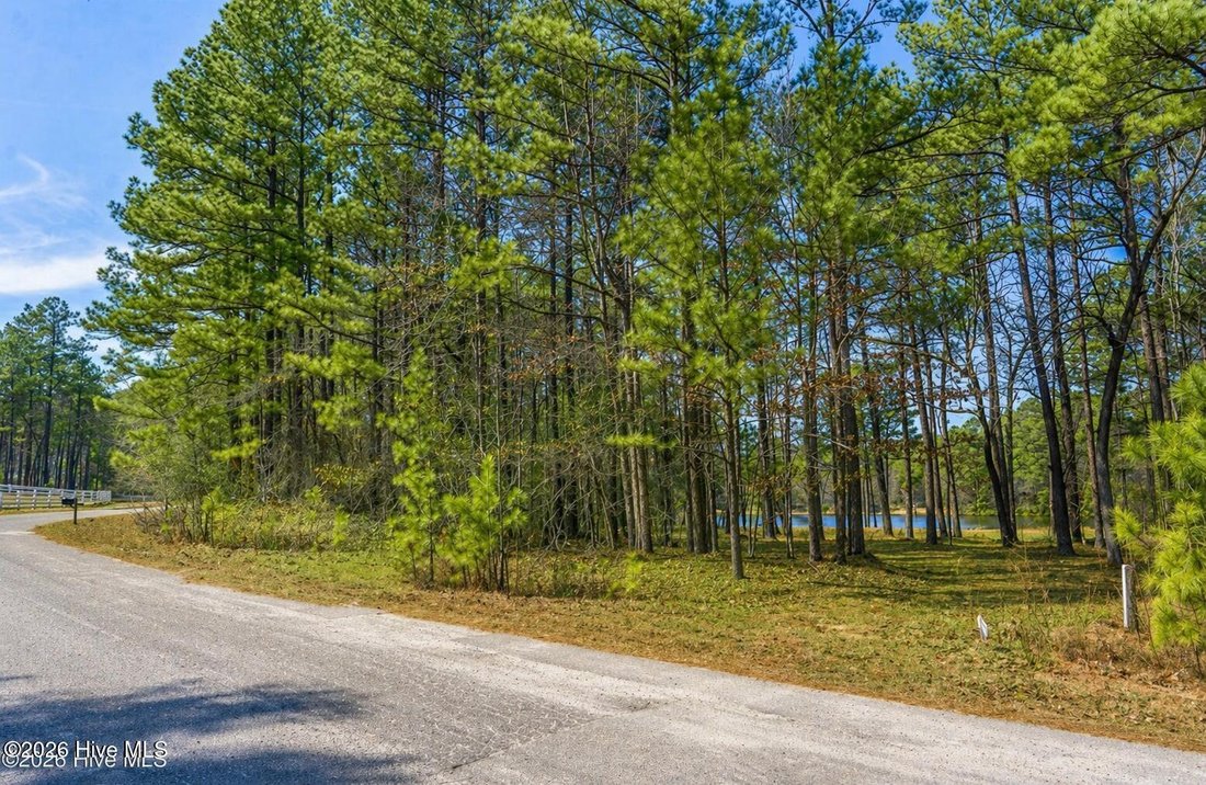 Land in Aberdeen, North Carolina, United States 3 - 18924308