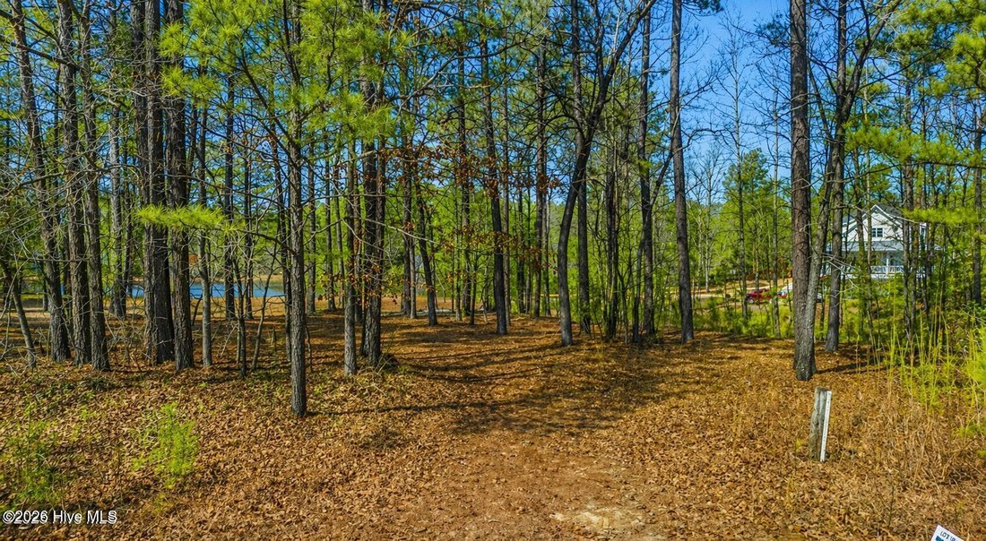 Land in Aberdeen, North Carolina, United States 4 - 18924308