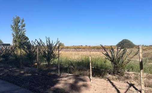Farm Ranch in Villa Dominguito, Provinz San Juan, Argentinien 1